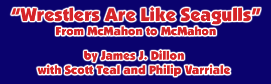 Wrestlers Are Like Seagulls by J.J. Dillon, with Scott Teal and Philip Varriale