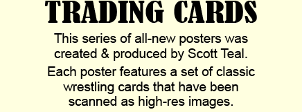 Pro Wrestling Trading Cards