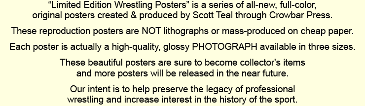 Professional Wrestling Title Posters