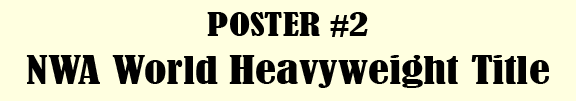 NWA world heavyweight title