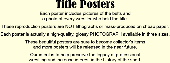 Pro Wrestling Titles